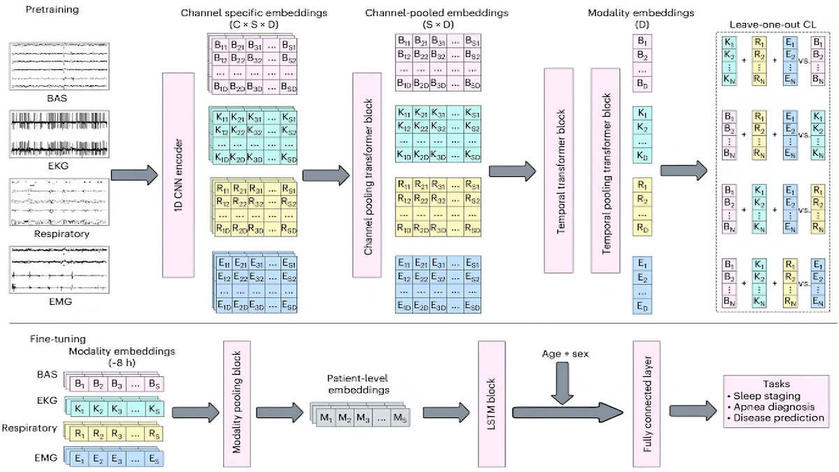 Diagram shows SleepFM's data processing flow from sleep signals to disease prediction using neural networks.