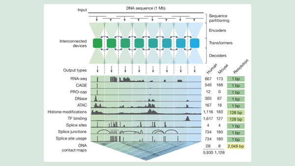 Diagram shows DNA analysis with interconnected devices, output types, and species-specific data.
